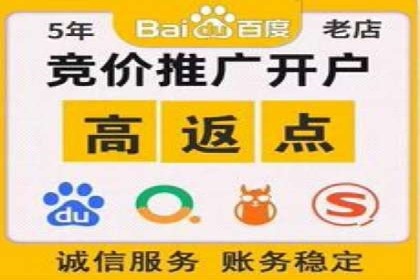 Sem优化公司案例：打造高效广告投放策略